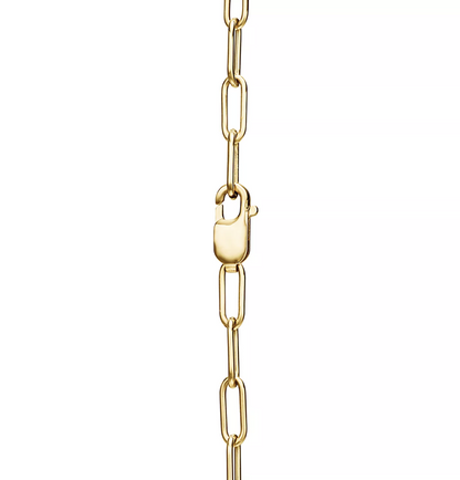 [Resenly Jewelry]LOCK NECKLACE GOLD