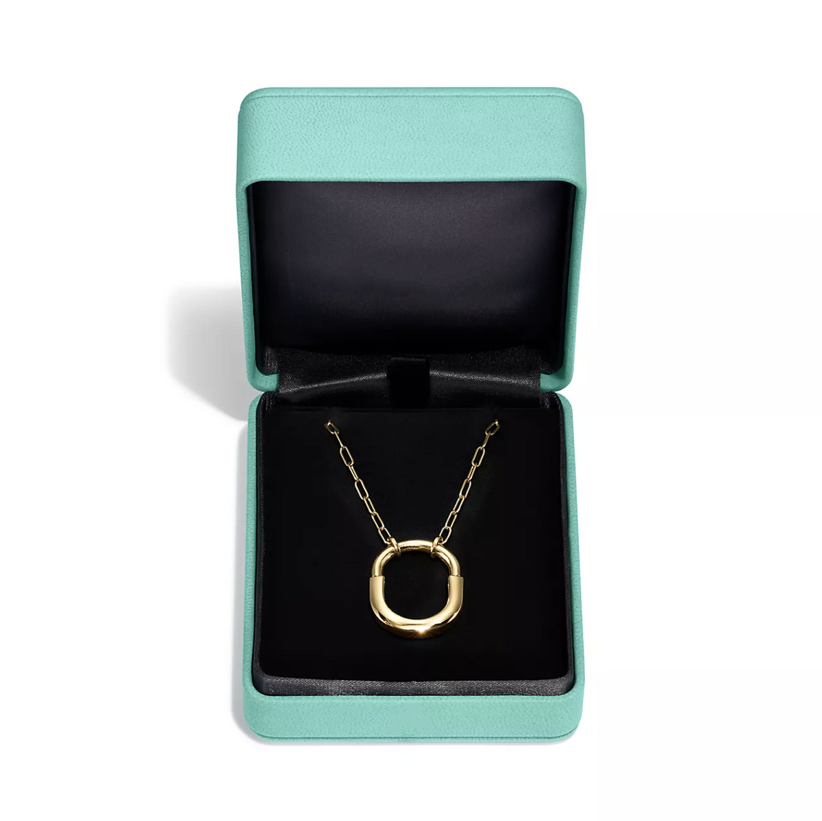 [Resenly Jewelry]LOCK NECKLACE GOLD